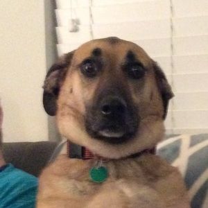 Meet your Posher, Mary